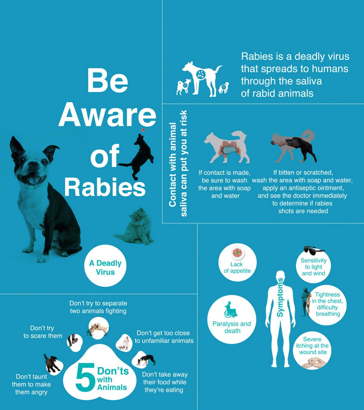 Rabies Symptoms Treatments situation bangkok thailand vaccines