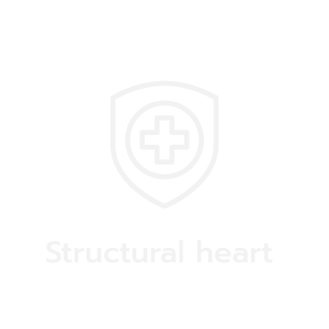 Structural-heart-EN.png