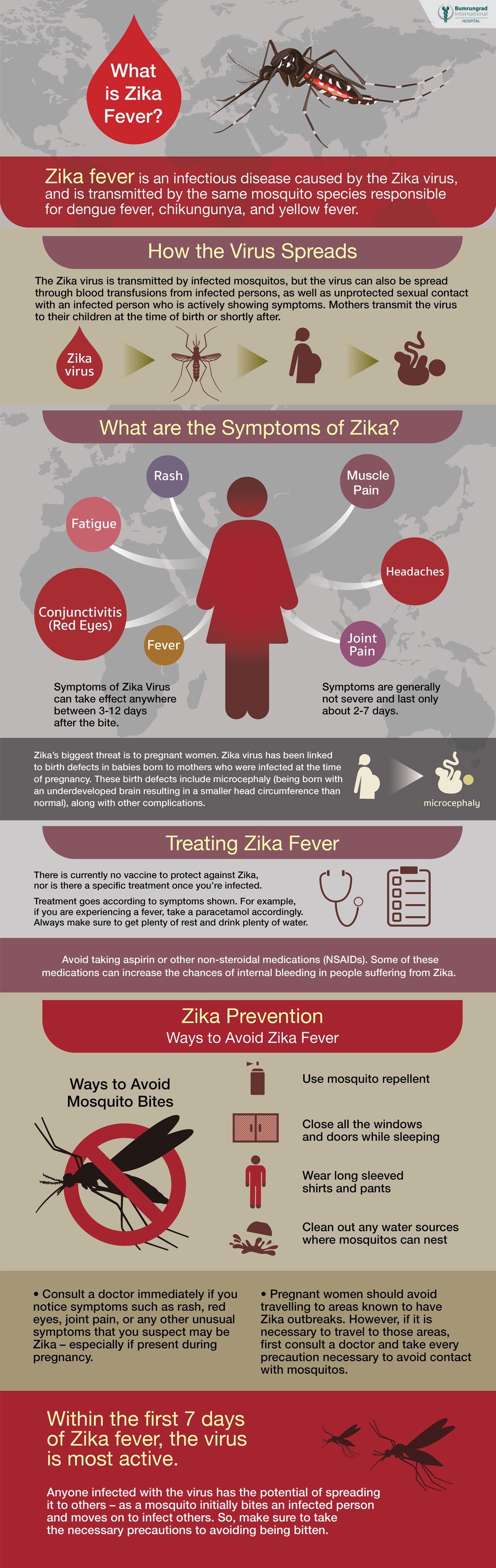 Zika-Fever-Infographic-english-web.jpg