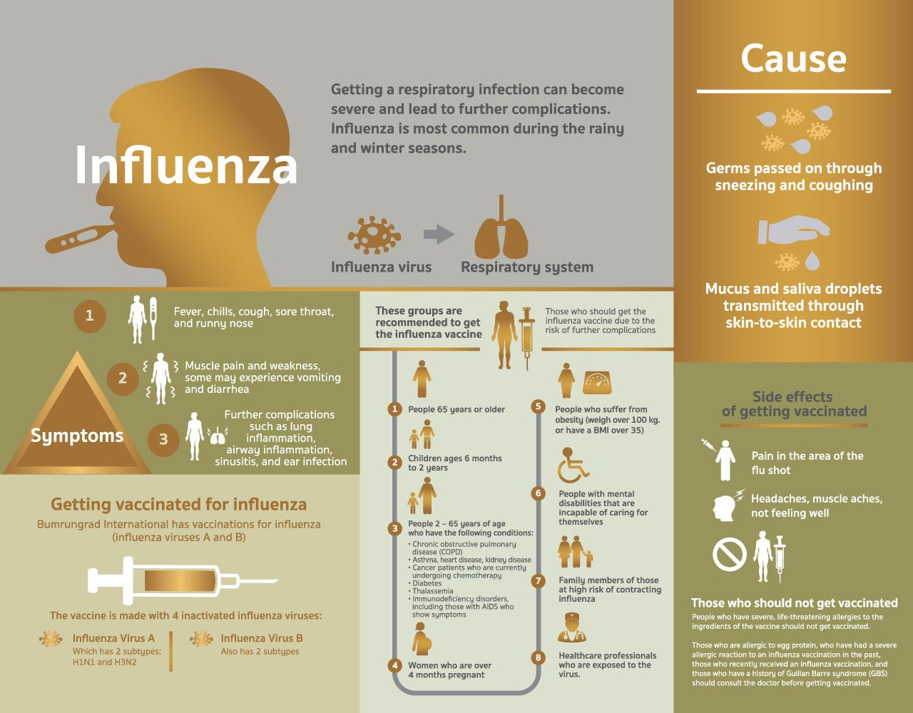 Influenza-en.jpg