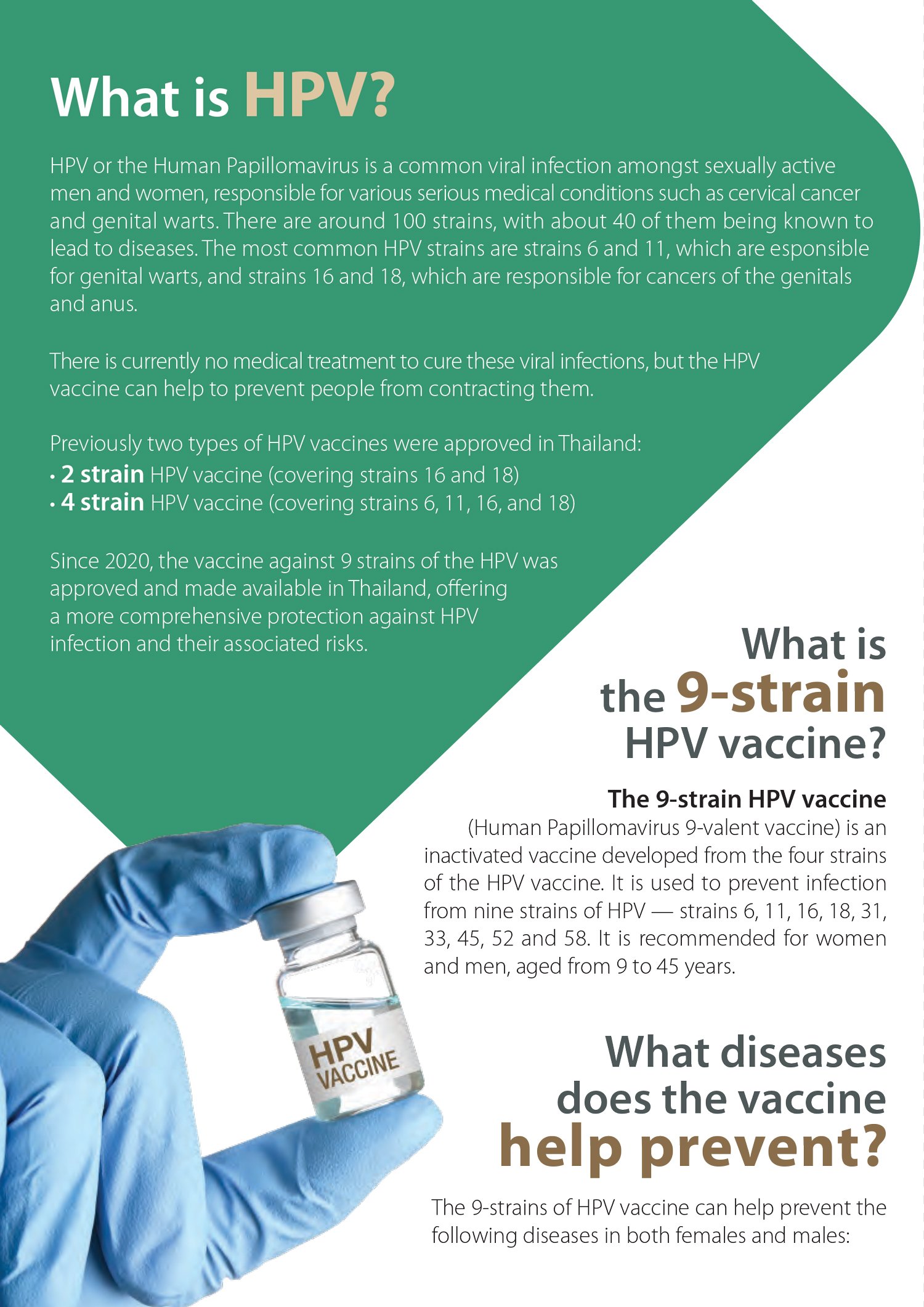 HPV-Vaccine-flyer-A5-4.jpg